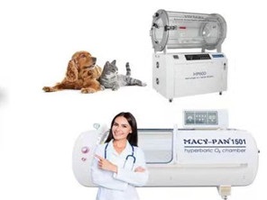 Introduction to animal hyperbaric oxygen chamber