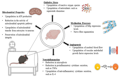 HBOT in neurological diseases: beneficial molecular and therapeutic effects
