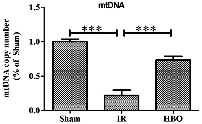 5-evaluation-of-cardioprotective-effects-of-hbot.png