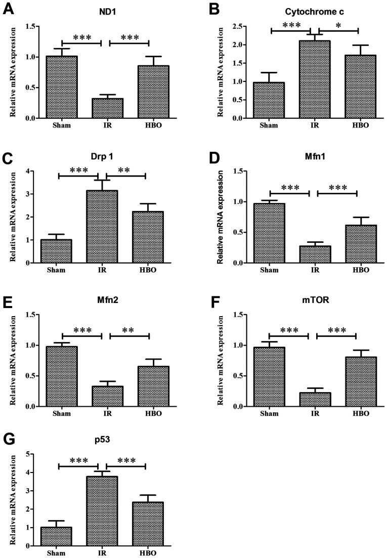 6-evaluation-of-cardioprotective-effects-of-hbot.png