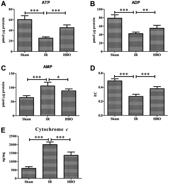 hbot-inhibits-mitochondrial-dysfunction.png