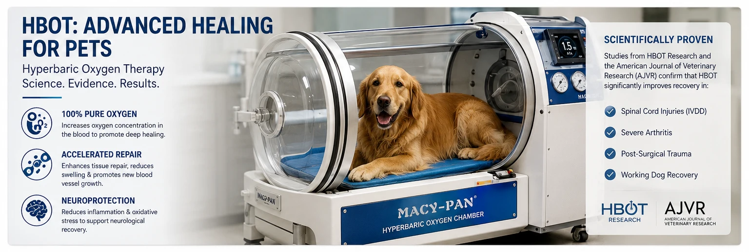 hbot-advanced-healing-for-pets.webp hbot-advanced-healing-for-pets.webp