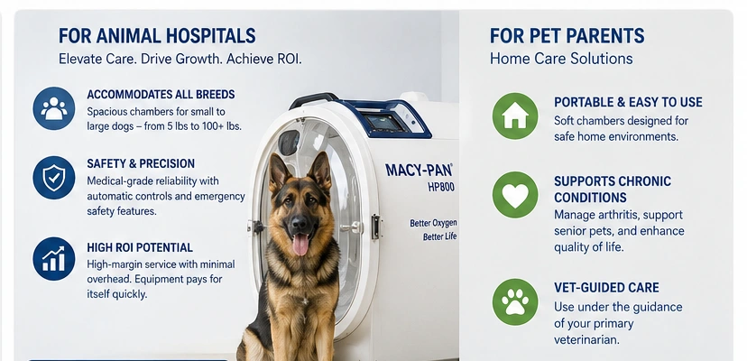 hbot-for pets.webp hbot-for pets.webp